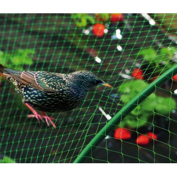 MALLA ANTIPAJAROS BIRDNET...